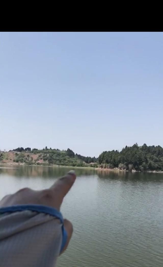  #悉数#5月鲁班扫黄行动！黄辣丁牛尾巴悉数登场