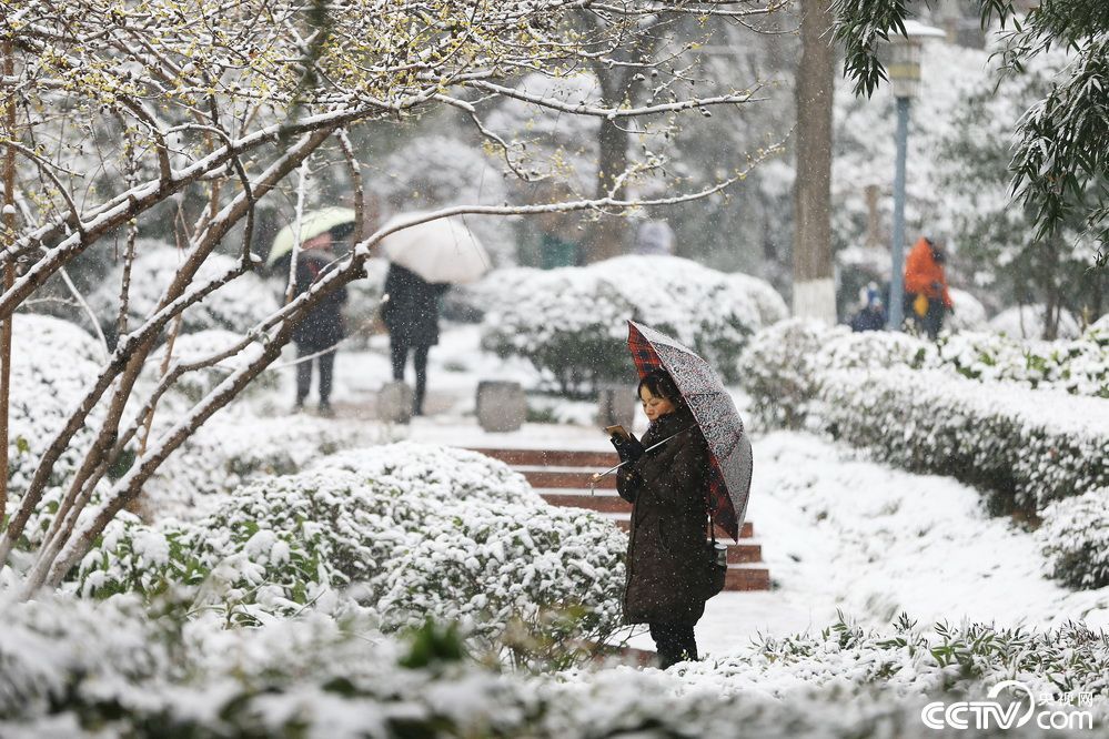 全国迎来大范围降雪