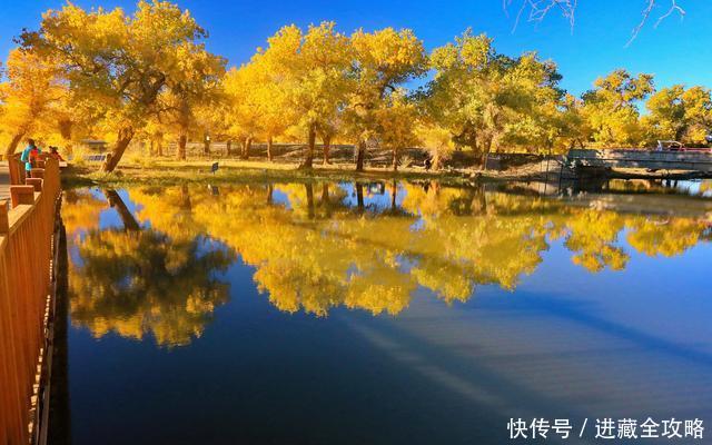 可能会错过国庆，今年额济纳的胡杨林最佳观赏期只有12天