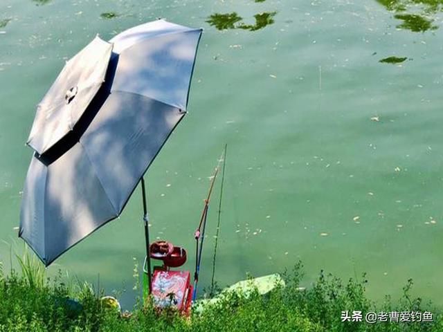  「去钓鱼」这4个问题，一直都在困扰钓鱼人