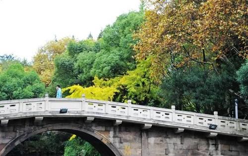 去公园的去公园