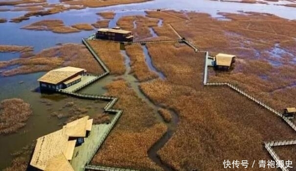 外来物种泛滥成灾，这次换中国头疼，连挖掘机都出动了