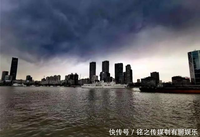 平均气温大于22℃:昨天,上海因为它登上热搜!美到窒息……