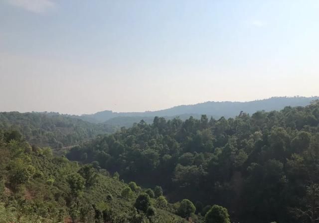 这些云南深山中的世外古寨，藏了多少隐形富豪……