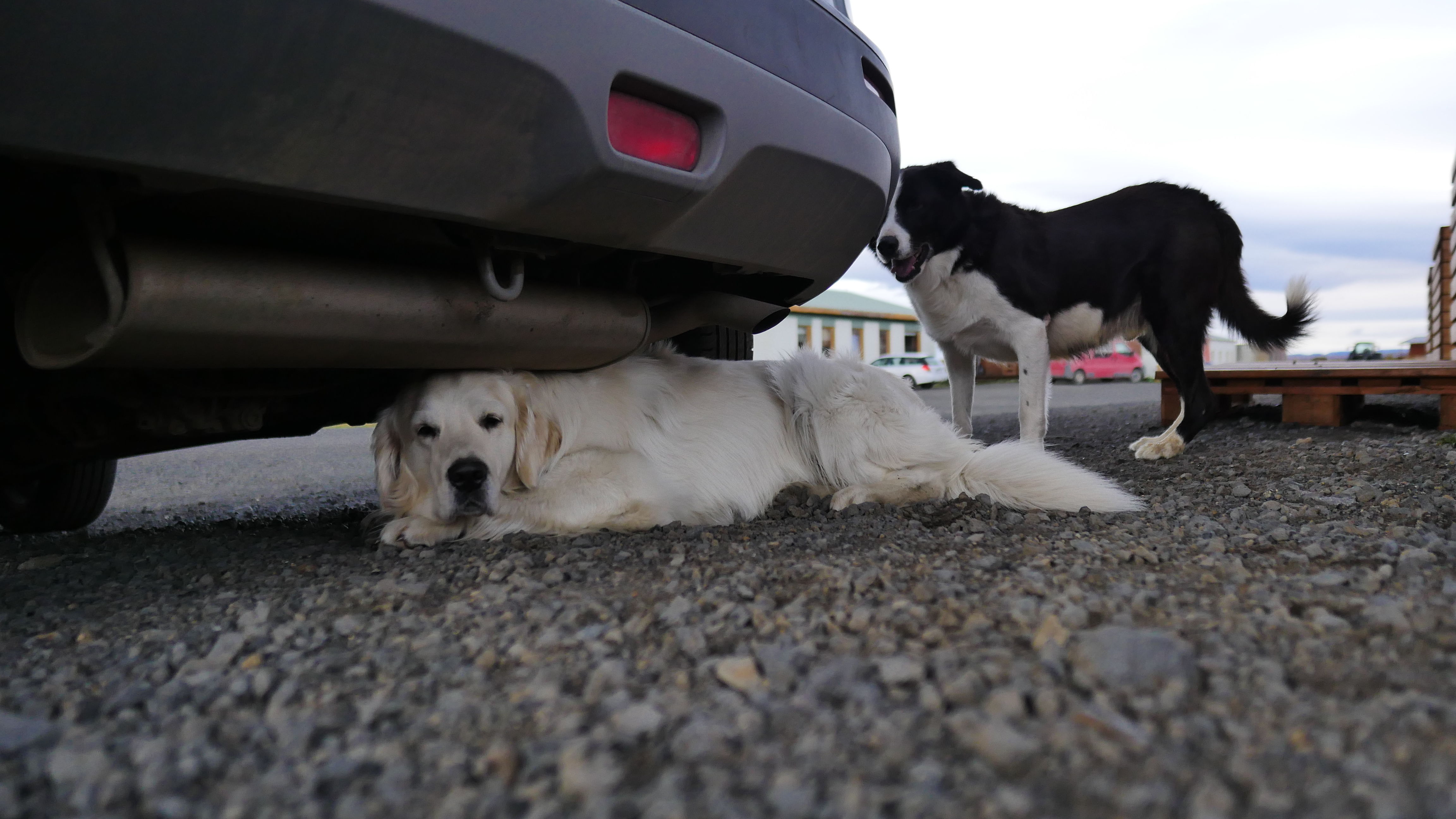 一起去世界的尽头流浪 冰岛历险记（中）