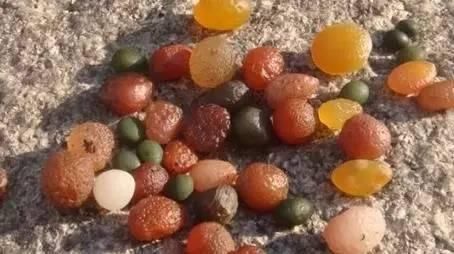 新疆捡石头的最美季节到了，这17个寻宝的地方你知道吗？