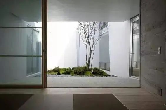  「棵树」一颗树，点亮整个庭院空间，美呆了~（附孤植清单）