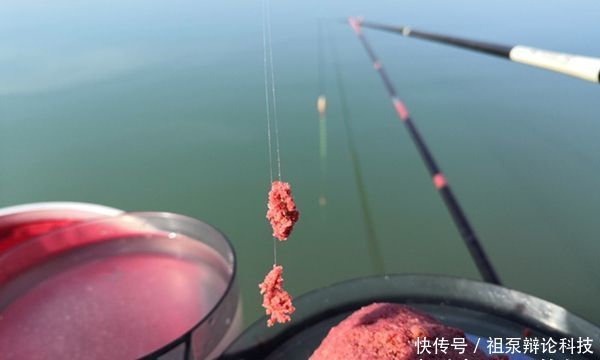 『钓点』晚春钓翘嘴鱼,注意天气和钓点的选择,狂拉翘嘴很过瘾!