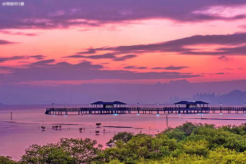 粤港澳大湾区风景