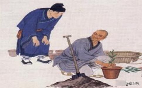  『子弟』照顾花草等同于教育子弟