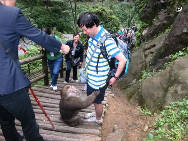峨眉山上的猴子拦路打劫游客，但最怕这样东西，游客：智商比我高