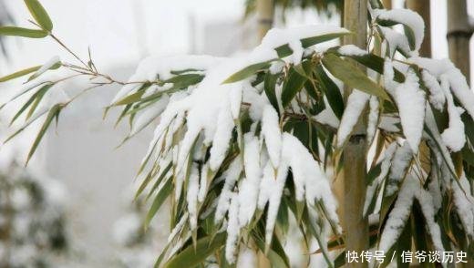「冬日」雪竹,就是最美的冬日诗词
