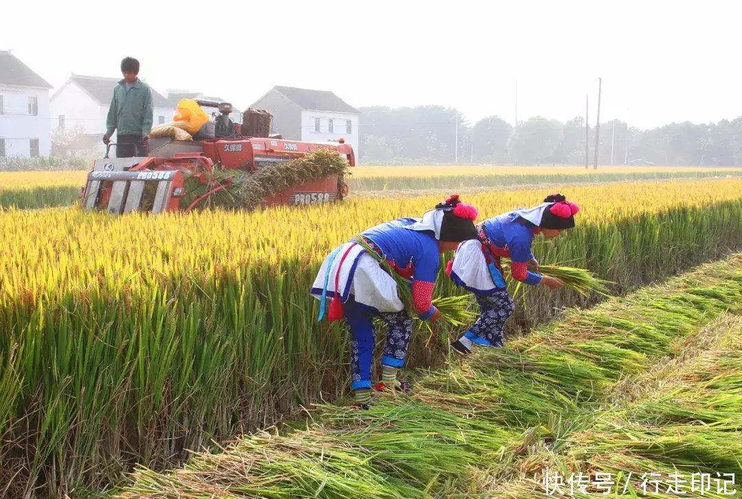 4000米高空跳伞是什么感觉？来甪直体验当“鸟人”的滋味