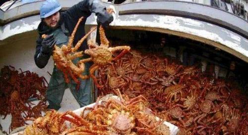 一年只上5天班年薪70万，但有生命危险你会去吗？