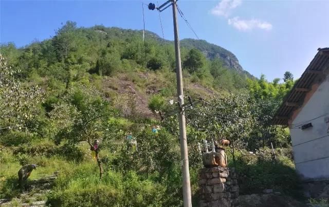  「大若岩镇」温州芙蓉岭古道，浙江省十大人文古道之一