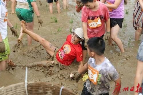  「海珠」海珠湿地“摸鱼”忙！小学生抓到11.6公斤鱼王