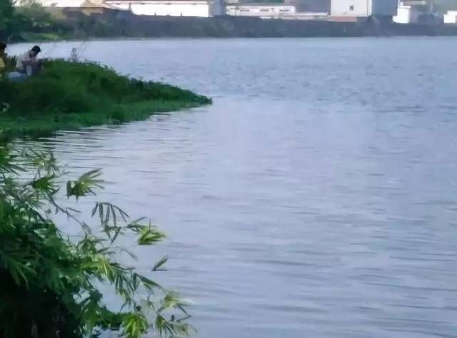 『技巧』在流水中钓鱼应该掌握什么技巧?