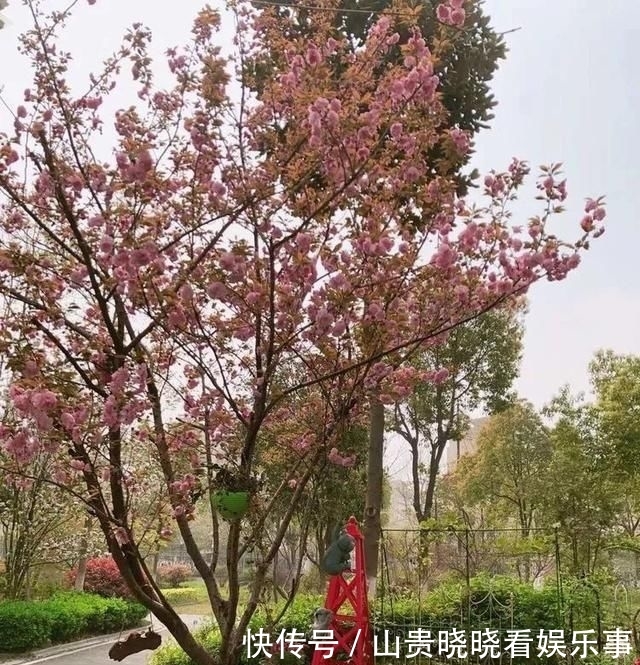 「平方」有了30平方的小院,能将日子过成了诗?简单而精致,优雅而从容!