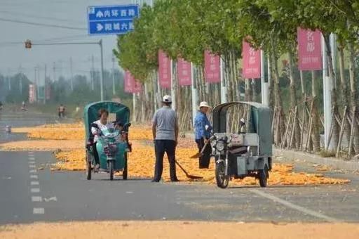 农村4种行为不被允许，咱农民要早了解