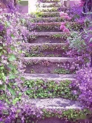  【漫步】春暖花开，谁能陪我漫步这么美的路？