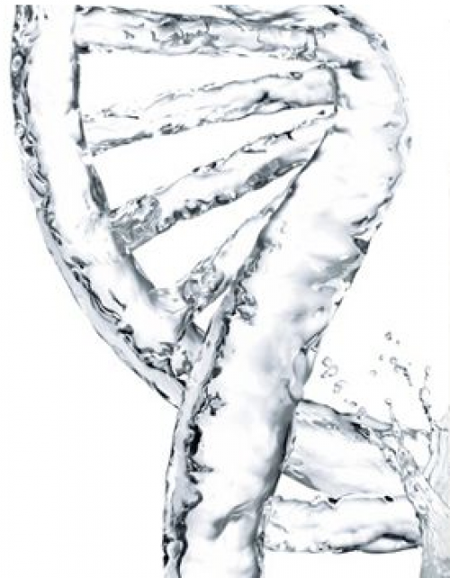 出门负担太重?这就只需要带上女神水一起踏上征程