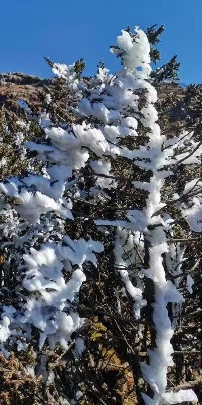 轿子雪山冬意浓，邂逅画里的轿子雪山