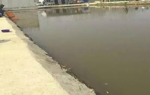  套路@黑坑老板常用套路，怪不得每次黑坑钓鱼都这么少渔获