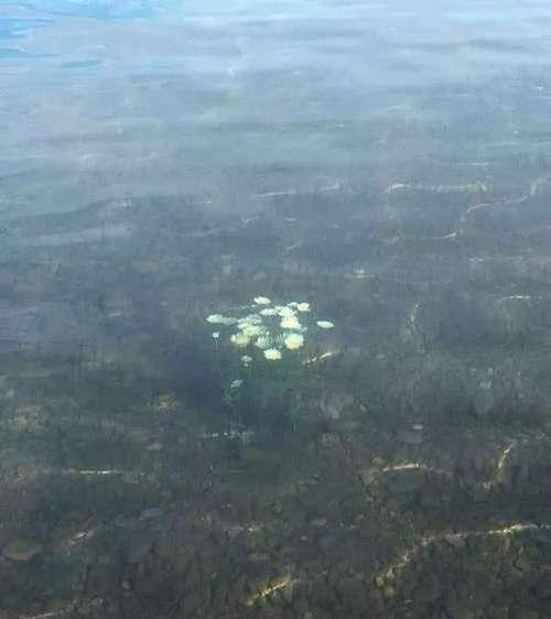 20张不可思议的照片，证明大自然无所不能！