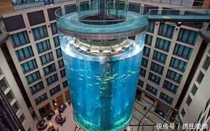 世界上最大的鱼缸:耗资1亿、有8层楼高,竟被放在酒店中!