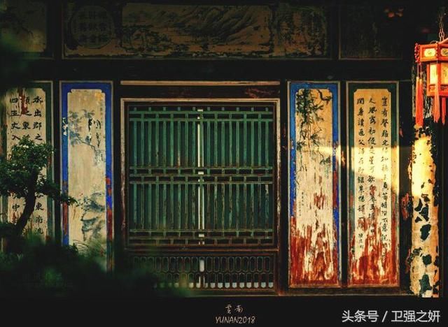 【空谷幽兰】烟雨花香又一春