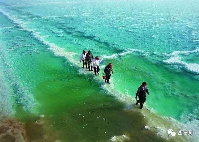 死亡之海罗布泊再现碧波，面积超1万平方公里