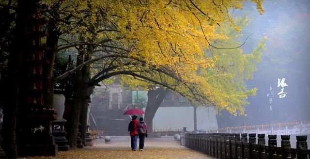 东南佛国天童寺：赴一场人与自然的对话