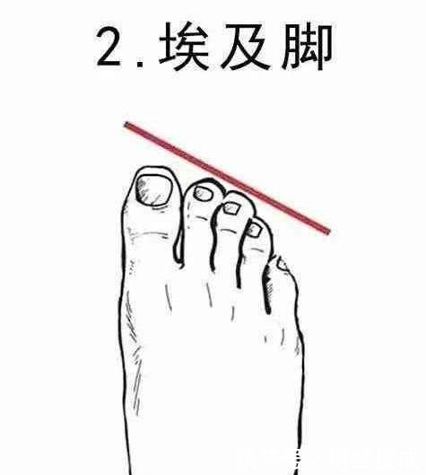  罗马脚：4种最美脚型排行榜，埃及脚堪称“女神”脚！每个女生都想拥有