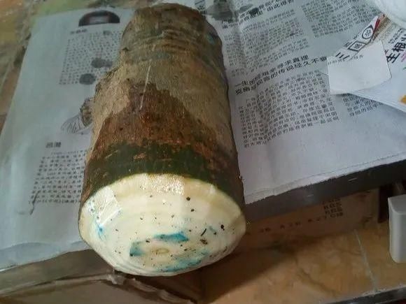  「烂根」天热了，8种花不能乱浇水，小心浇完就死