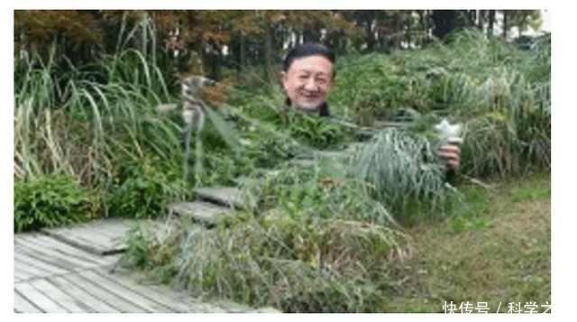 谣言止于智者，中科院院士揭示2017年“十大”流言真相