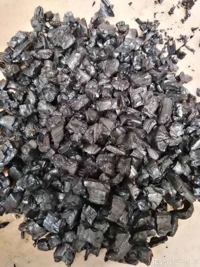  [萝卜]水里加点碳，根系壮得撑破盆，长出满盆萝卜根