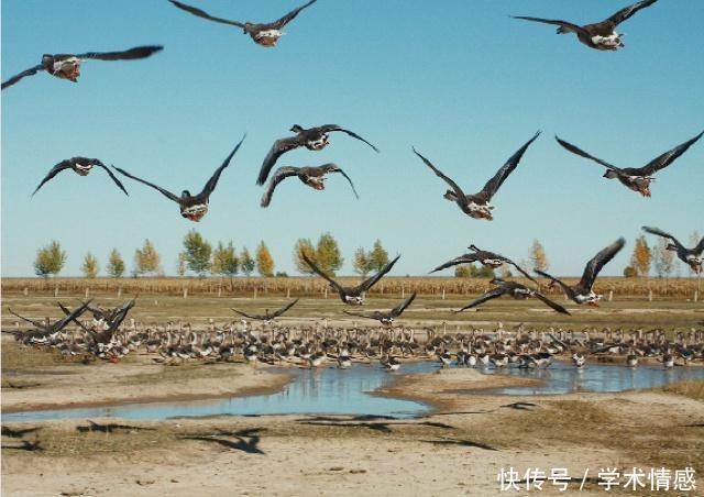 我国最遥远的飞地“漂泊在外”六十余载，至今人口还不到两万人