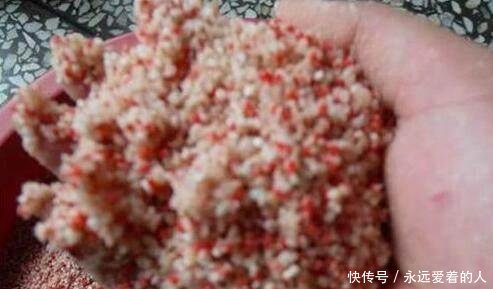  【别总】别总吐槽水里没鱼，不改掉3个抛竿“坏习惯”，鱼窝离你越来越远！