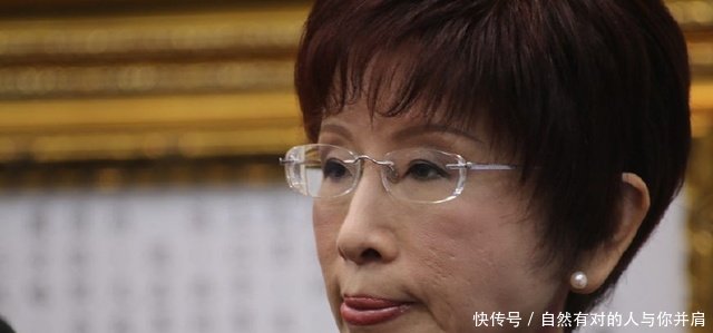 洪秀柱卸任后去向台湾网友这样说