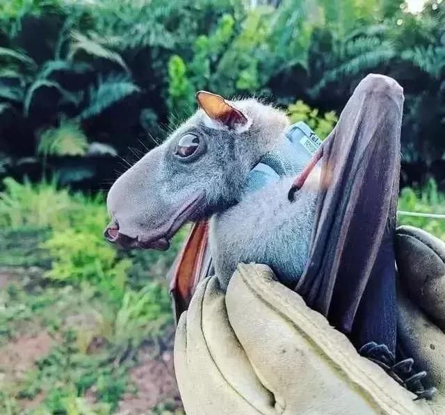 25张令人大开眼界的照片，居然一张都没有PS过！