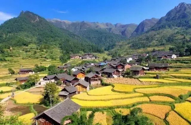 金秋贵州 这些田间地头要美哭了!