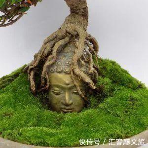 「罕见」大自然到底有多厉害?这些景象真是千年罕见!