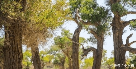 中国又宣布了啥决定? 惊动了全世界人民瞩目, 印度气得直跺脚