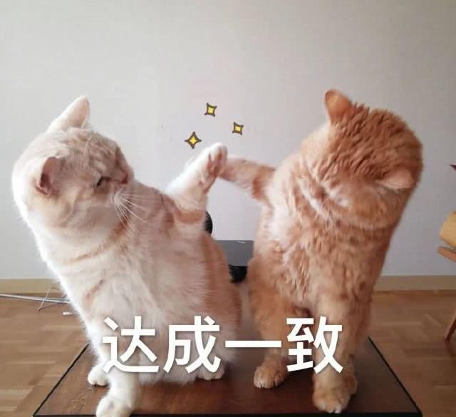  [变小]你也是什么脸型就戴哪些近视眼镜，选好一瞬间变小脸