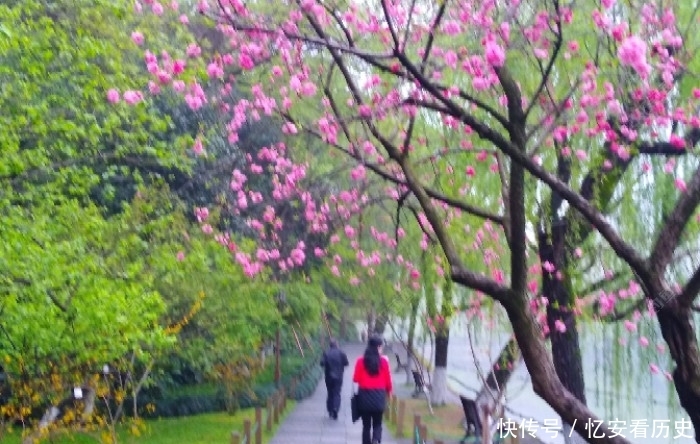 『诱鱼』有效钓鲫鱼的3个办法,做窝补窝和调钓,和应对技巧