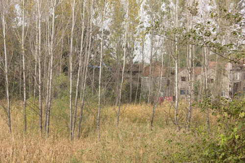  [村民]北方降雨量少却有个水上村，村民开荒种菜，掘地一尺浇水