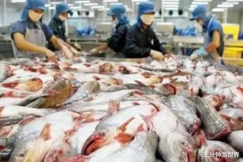 发生:越南发生了啥数百万民众请求中国帮忙,诚恳表示给个面子吧