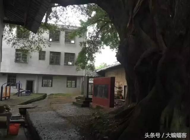 “江南第一村”蒋经国亲笔提名的村庄