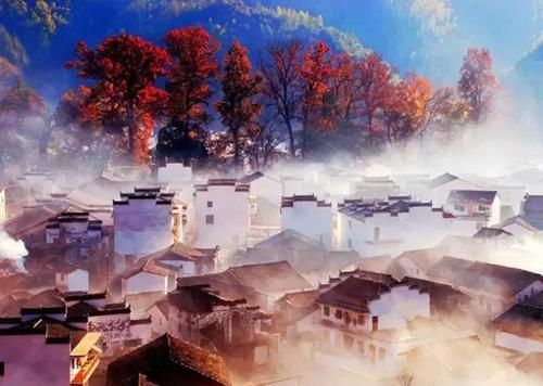 驿道古枫，世外桃源！婺源的秋天才真的是美哭了