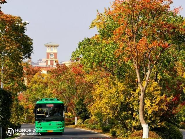 武汉红叶秋景点推介-花山春和路